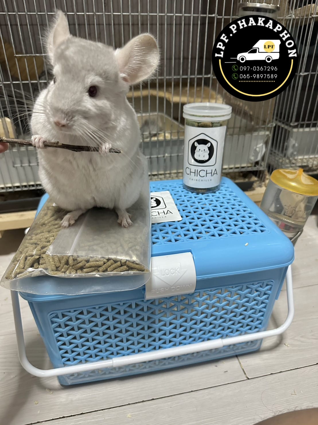 รถแอร์ขนส่งสัตว์เลี้ยง