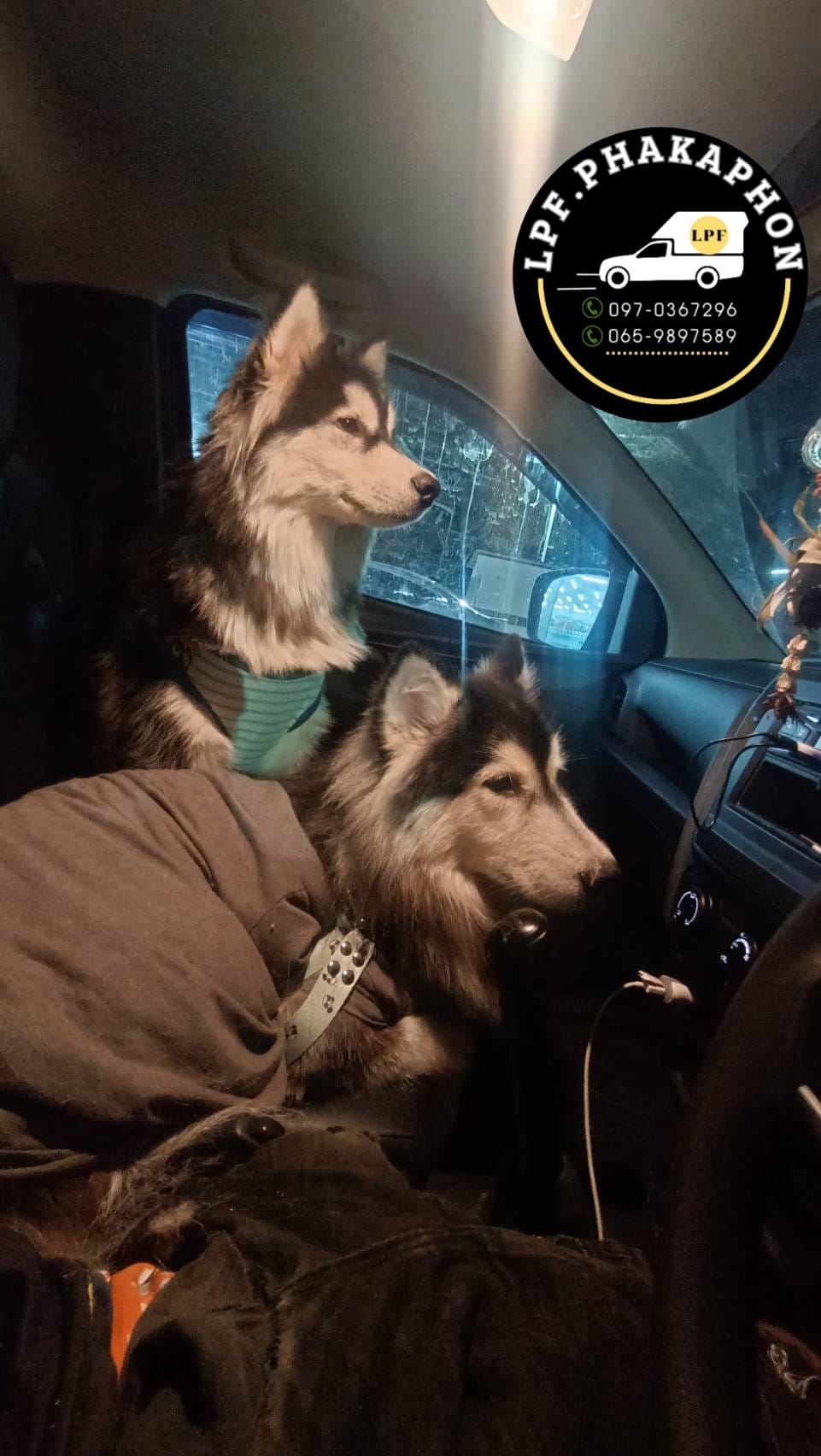 ขนส่งสุนัข กรงแยก มีแอร์ กรุงเทพ-ต่างจังหวัด